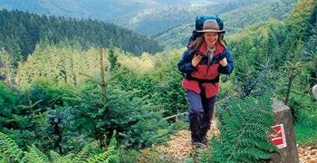 Hiking, hikers on the Rothaarsteig trail